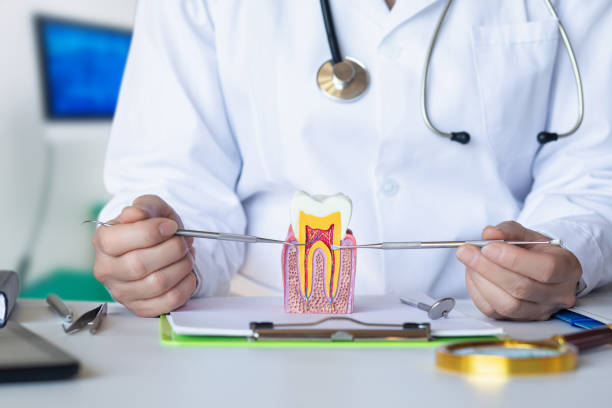 Best Tooth Pain Emergency Relief  in Parowan, UT